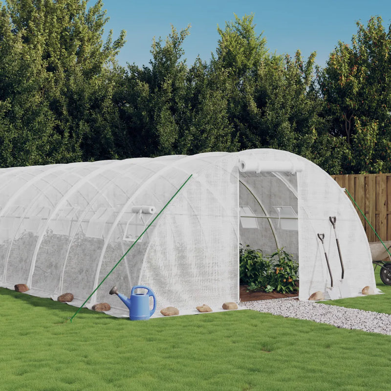 Greenhouse with Steel Frame White 24 m�� 6x4x2 m