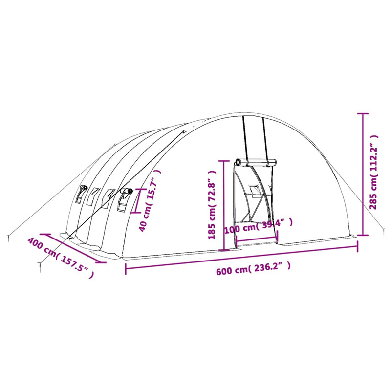vidaXL Greenhouse with Steel Frame White 24 m² 6x4x2.85 m
