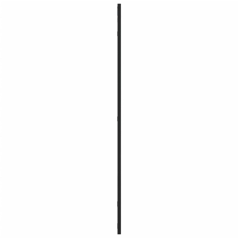 vidaXL Wall Mirror Black 50x100 cm Rectangle Iron