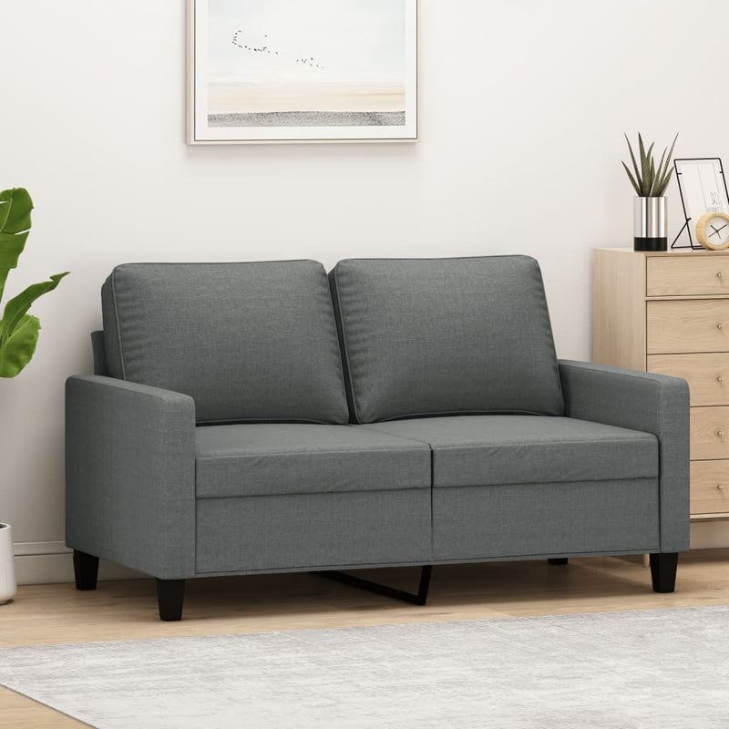 vidaXL 2-Seater Sofa Dark Grey 120 cm Fabric
