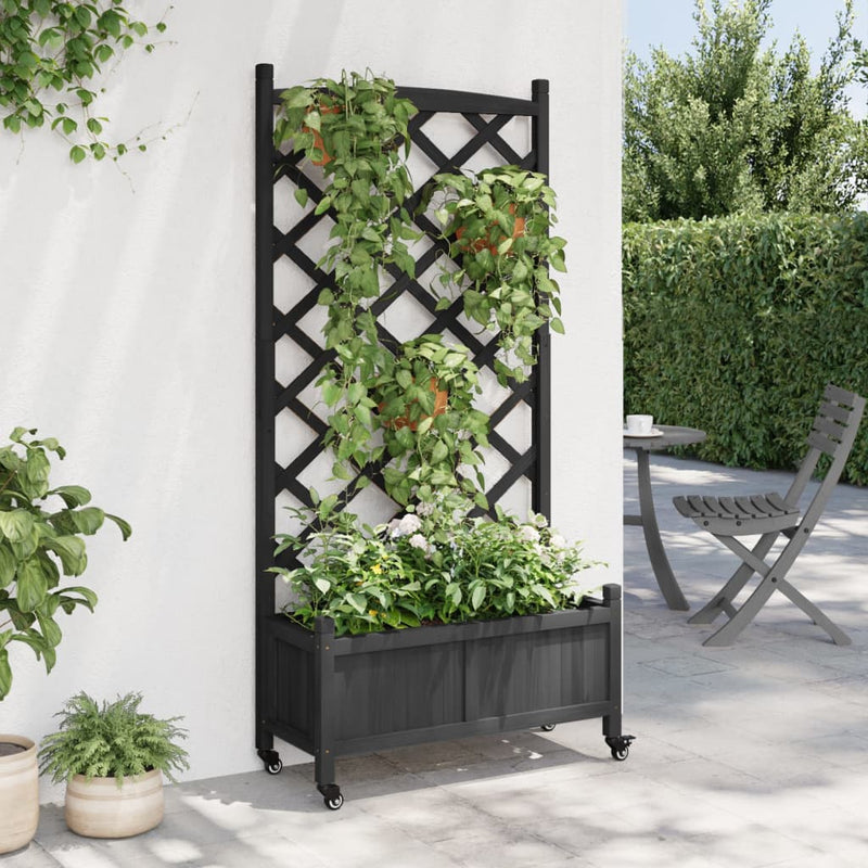 Planter with Trellis and Wheels Black Solid Wood Fir