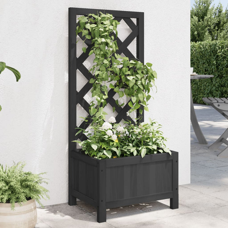 Planter with Trellis Black Solid Wood Fir