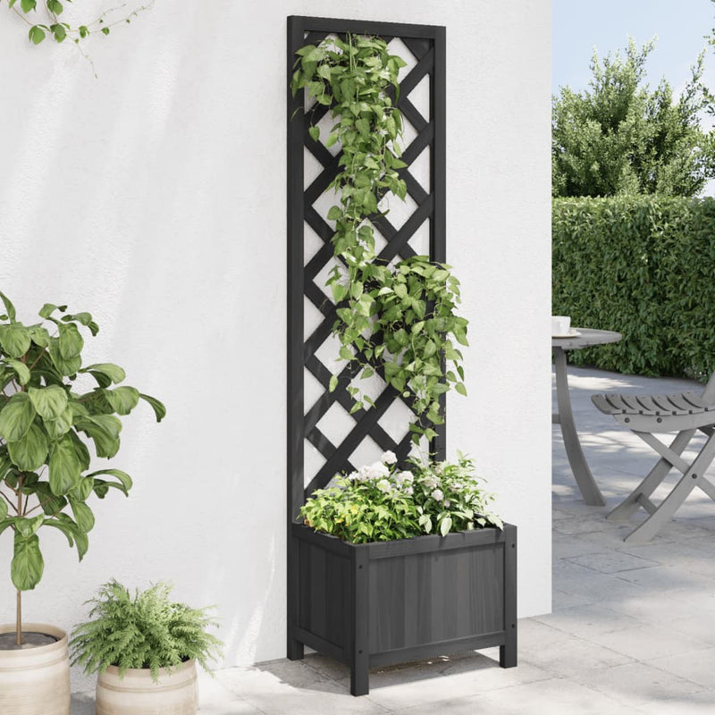 Planter with Trellis Black Solid Wood Fir