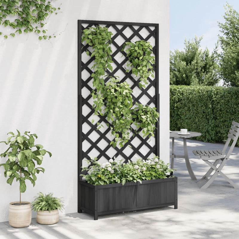 Planter with Trellis Black Solid Wood Fir