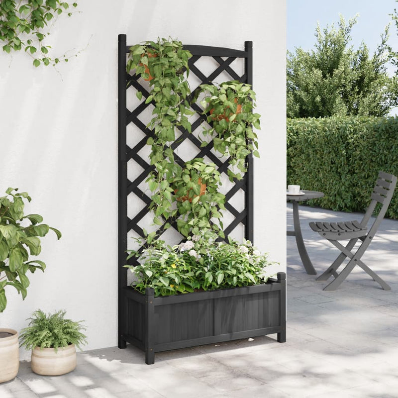 Planter with Trellis Black Solid Wood Fir