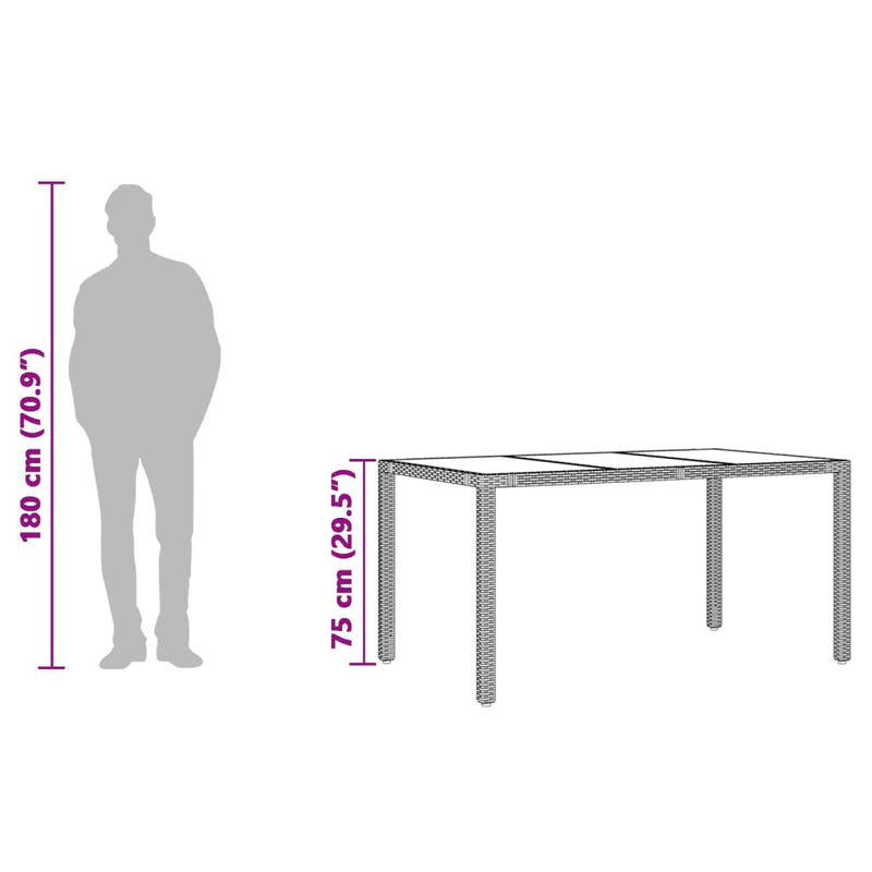 vidaXL Garden Table with Glass Top Black 150x90x75 cm Poly Rattan