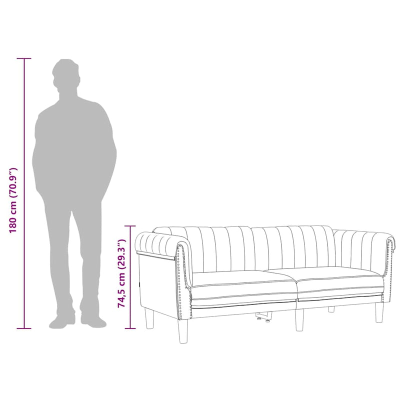 vidaXL Sofa 2-Seater Dark Grey Velvet