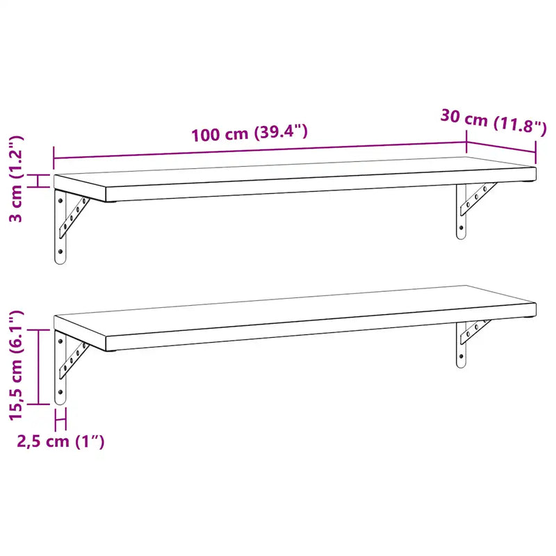 Wall Shelves 2 pcs 100x30 cm Silver Stainless Steel
