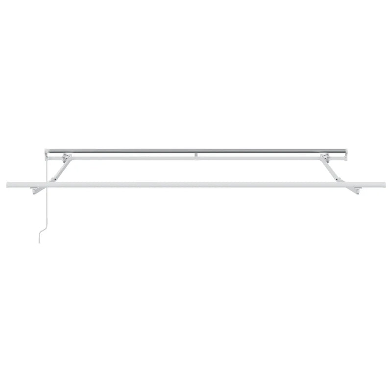 Manual Retractable Awning Brown 300x250 cm