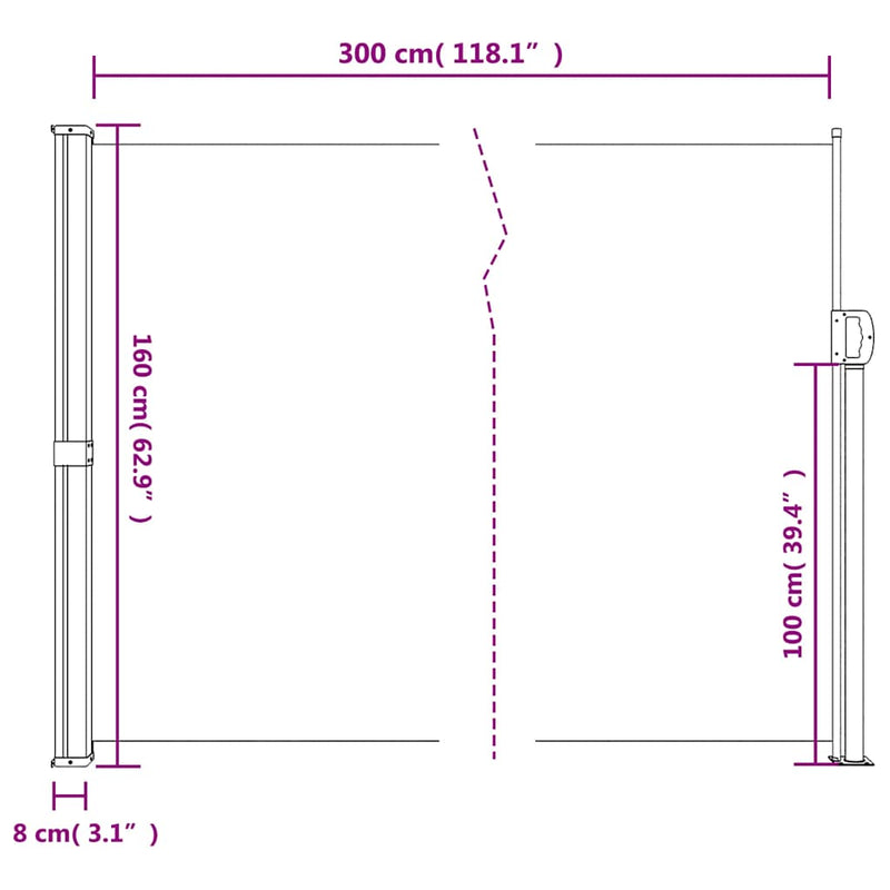 vidaXL Retractable Side Awning Black 160x300 cm