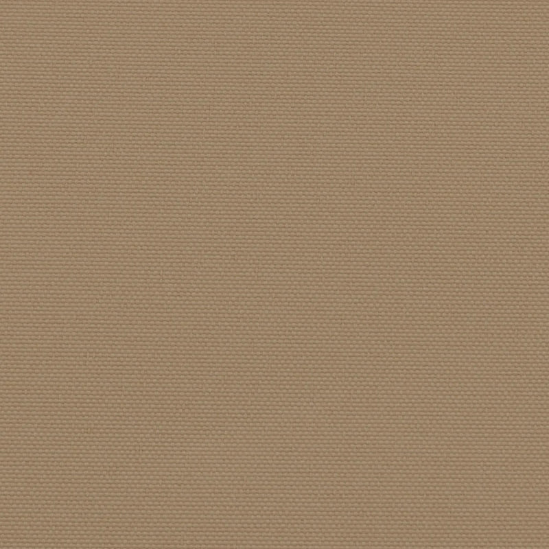 Retractable Side Awning Taupe 160x300 cm