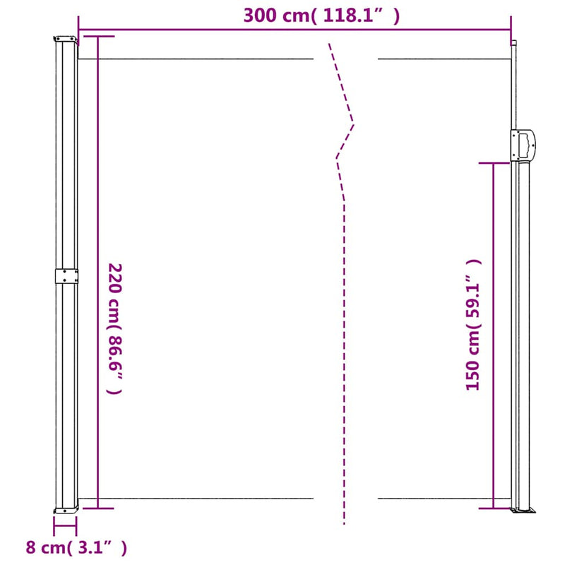 vidaXL Retractable Side Awning Black 220x300 cm