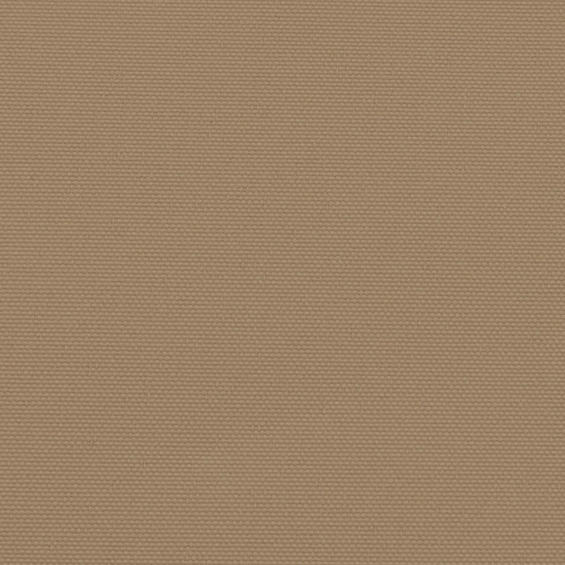Retractable Side Awning Taupe 220x300 cm