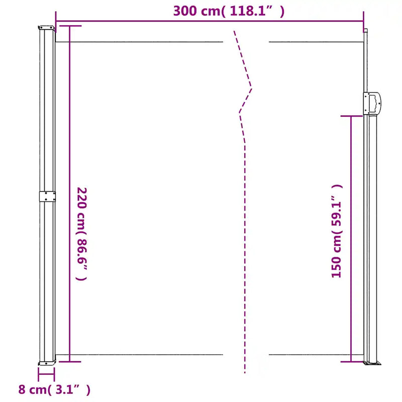 Retractable Side Awning Anthracite 220x300 cm