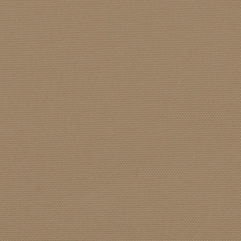 Retractable Side Awning Taupe 160x500 cm