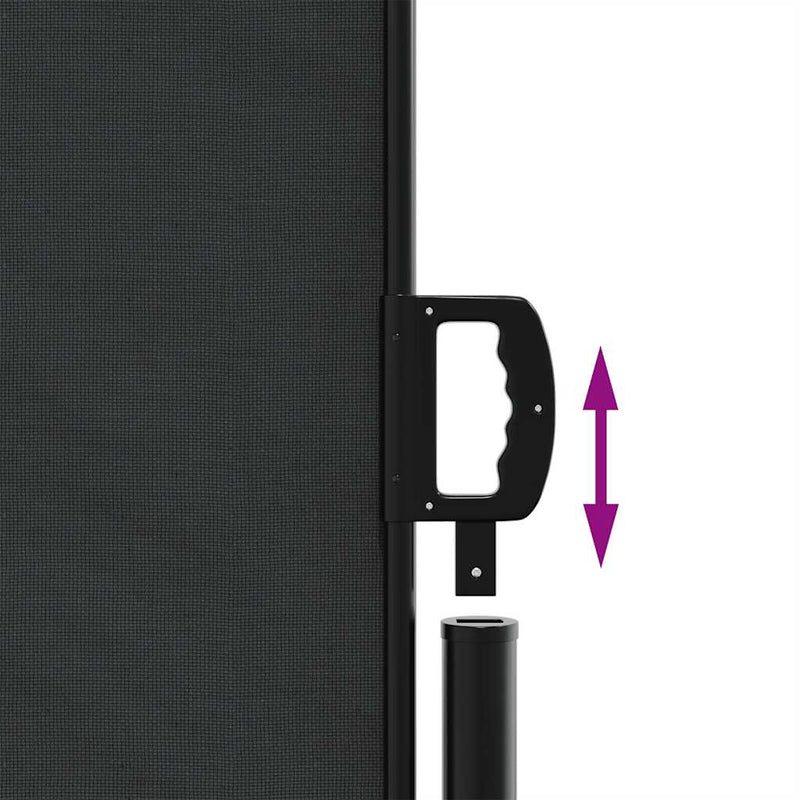 vidaXL Retractable Side Awning Black 220x500 cm