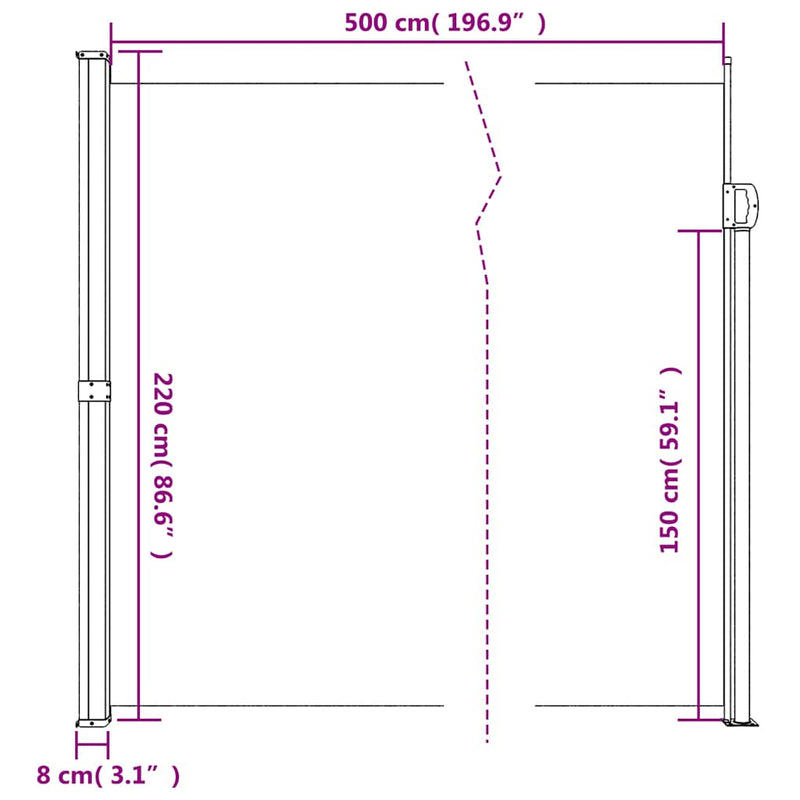 vidaXL Retractable Side Awning Black 220x500 cm