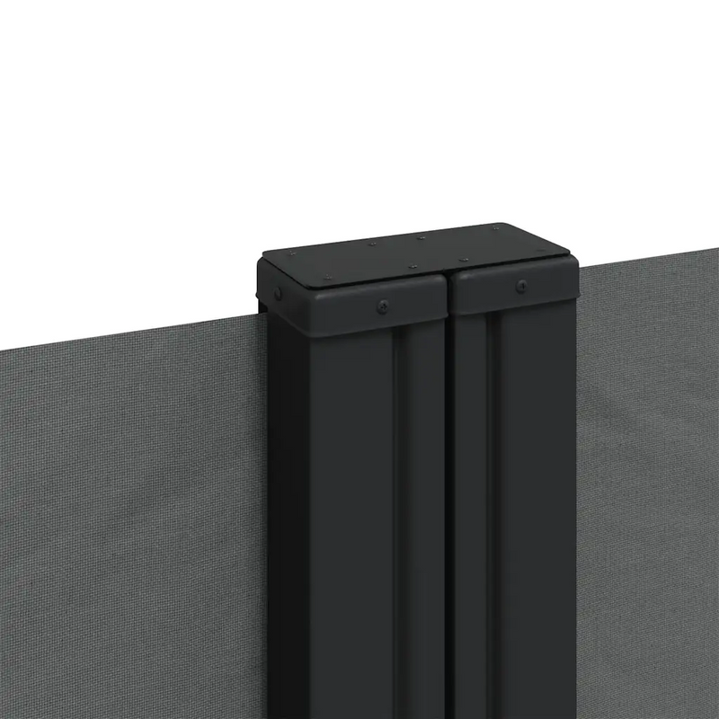 Retractable Side Awning Anthracite 100x1000 cm