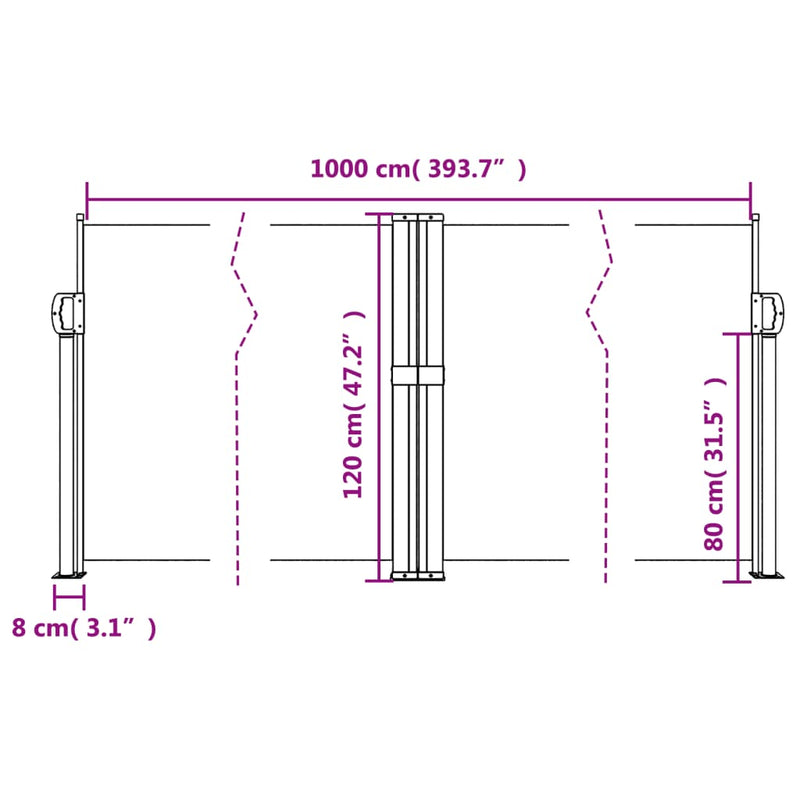 vidaXL Retractable Side Awning Black 120x1000 cm