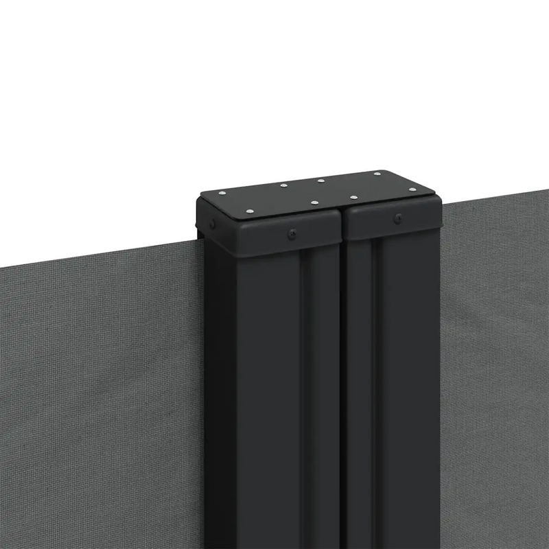 Retractable Side Awning Anthracite 200x1000 cm