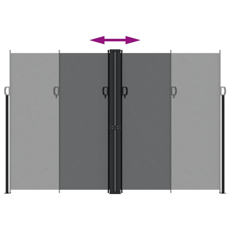 vidaXL Retractable Side Awning Black 220x1000 cm