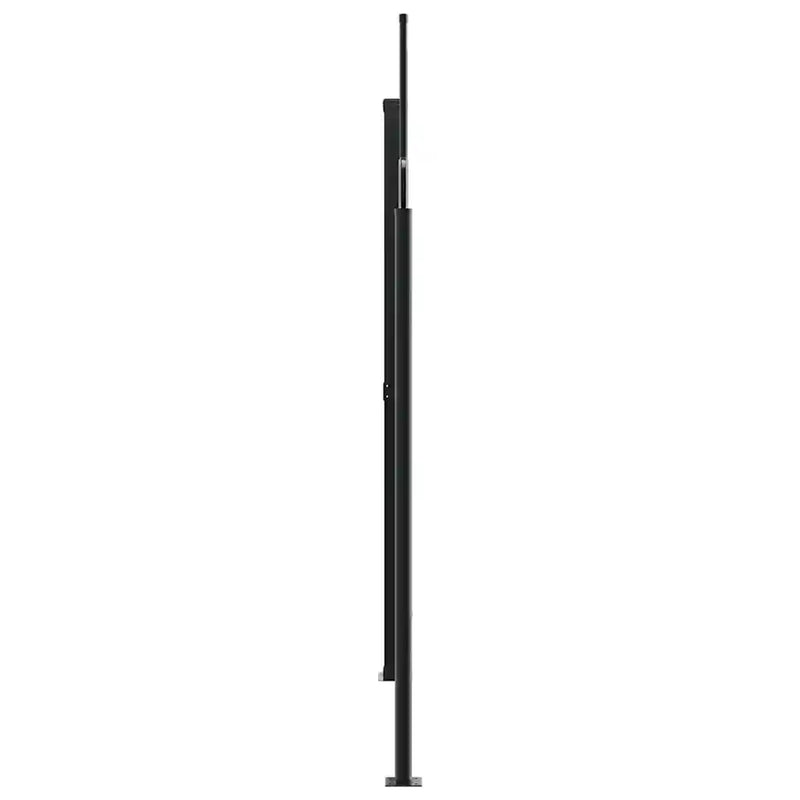 Retractable Side Awning Anthracite 220x1000 cm