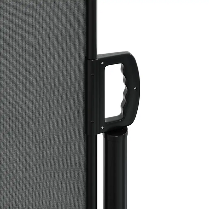 Retractable Side Awning Anthracite 220x1000 cm