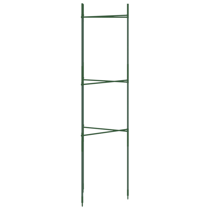 Tomato Cage 2 pcs 116 cm Steel and PP