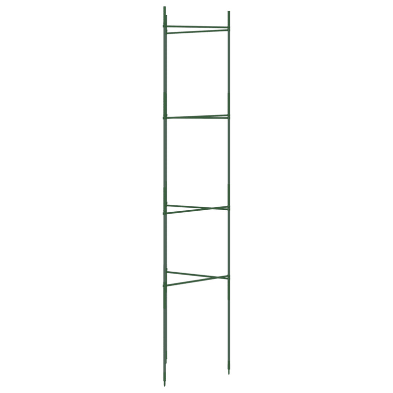 Tomato Cage 2 pcs 154 cm Steel and PP