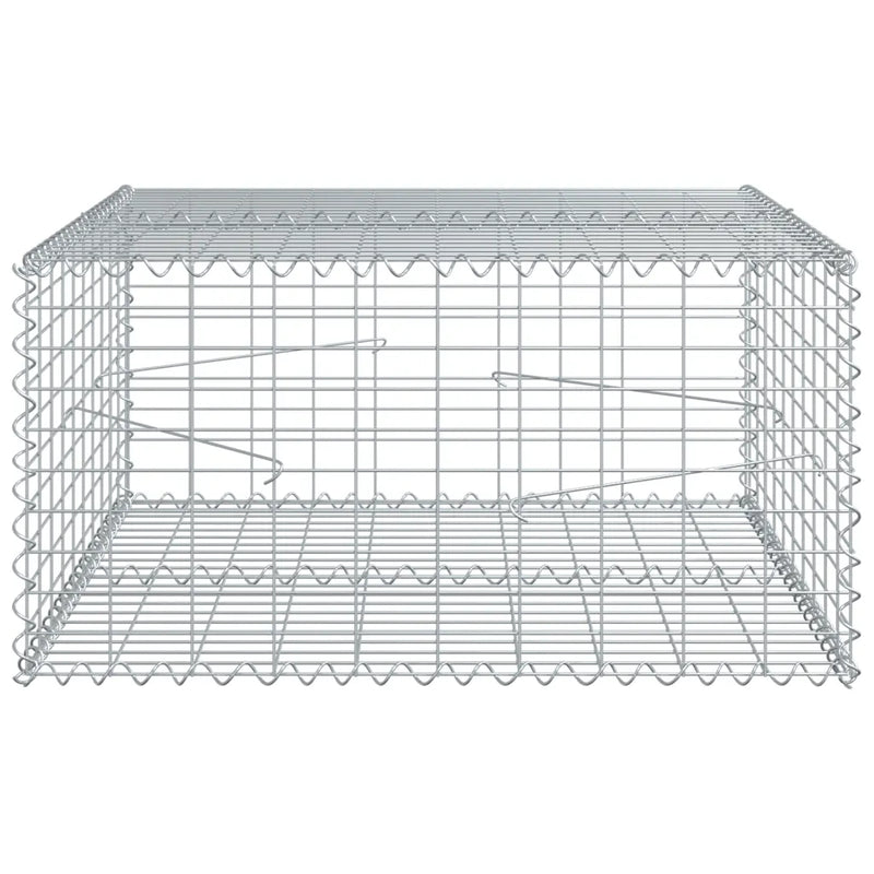 Gabion Basket with Cover 100x100x50 cm Galvanised Iron