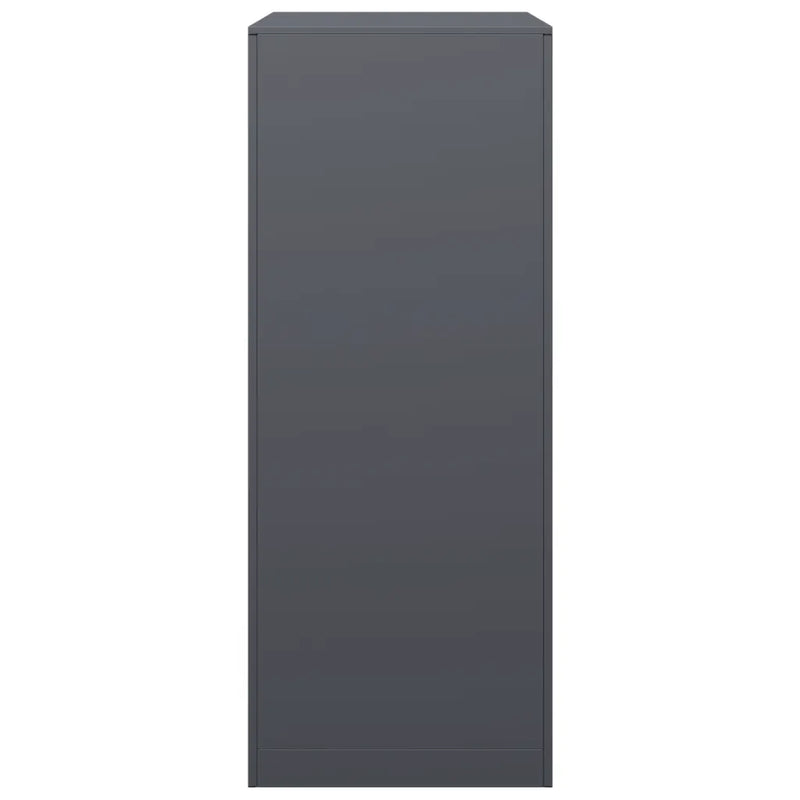 Firewood Rack Anthracite 60x40x100 cm Steel