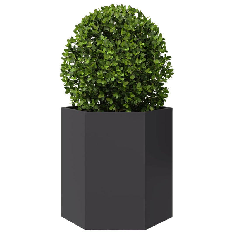 vidaXL Garden Planters 2 pcs Black Hexagon 46x40x45 cm Steel