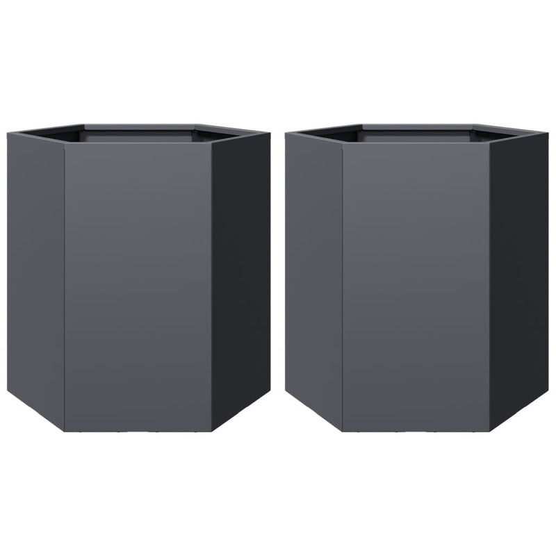 vidaXL Garden Planters 2 pcs Anthracite Hexagon 46x40x45 cm Steel