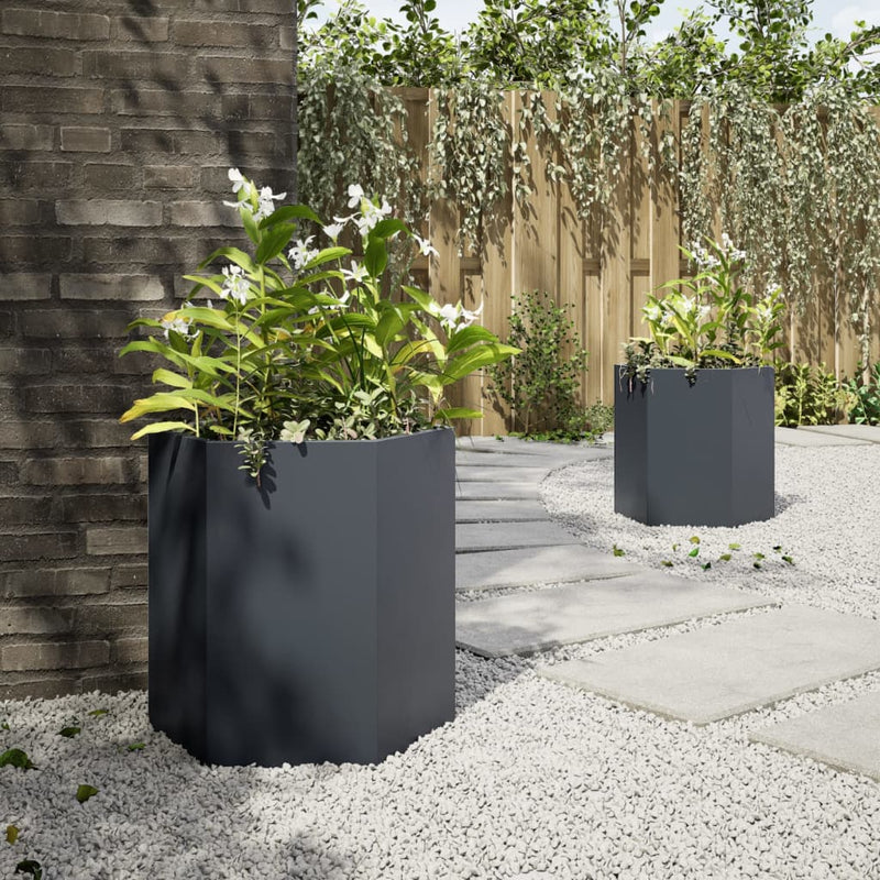 vidaXL Garden Planters 2 pcs Anthracite Hexagon 46x40x45 cm Steel
