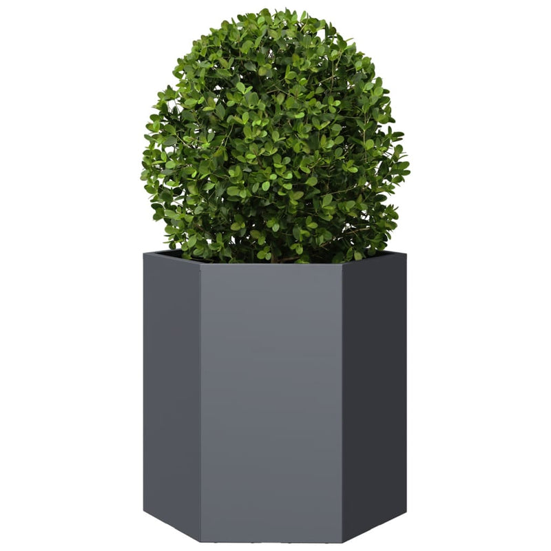 vidaXL Garden Planters 2 pcs Anthracite Hexagon 46x40x45 cm Steel