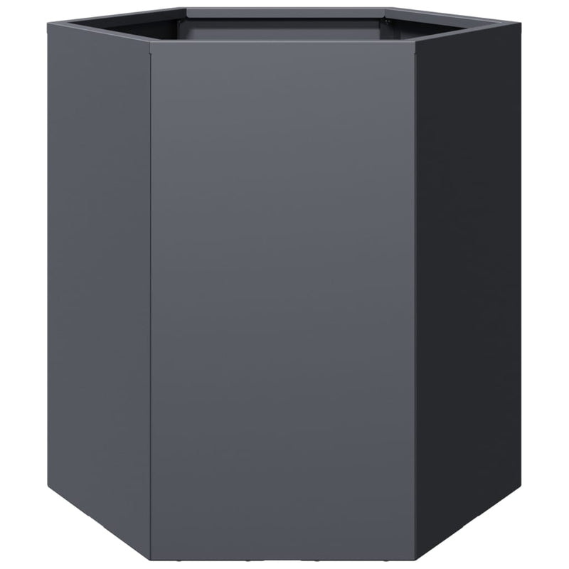 vidaXL Garden Planters 2 pcs Anthracite Hexagon 46x40x45 cm Steel