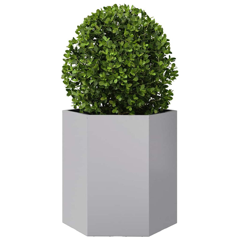 vidaXL Garden Planters 2 pcs Hexagon 46x40x45 cm Galvanized Steel