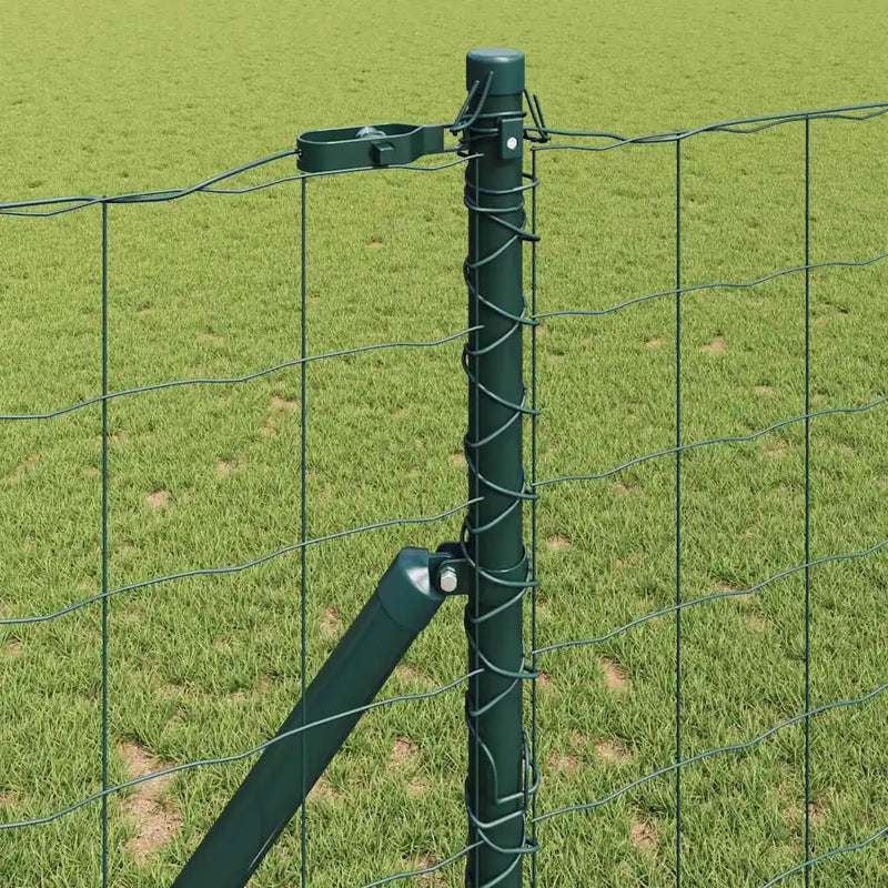 Fence with Post Green 1 x 10 m Steel