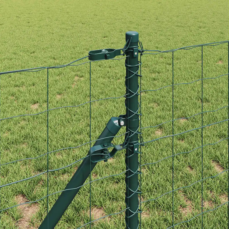 Fence with Post Green 0,8 x 25 m Steel