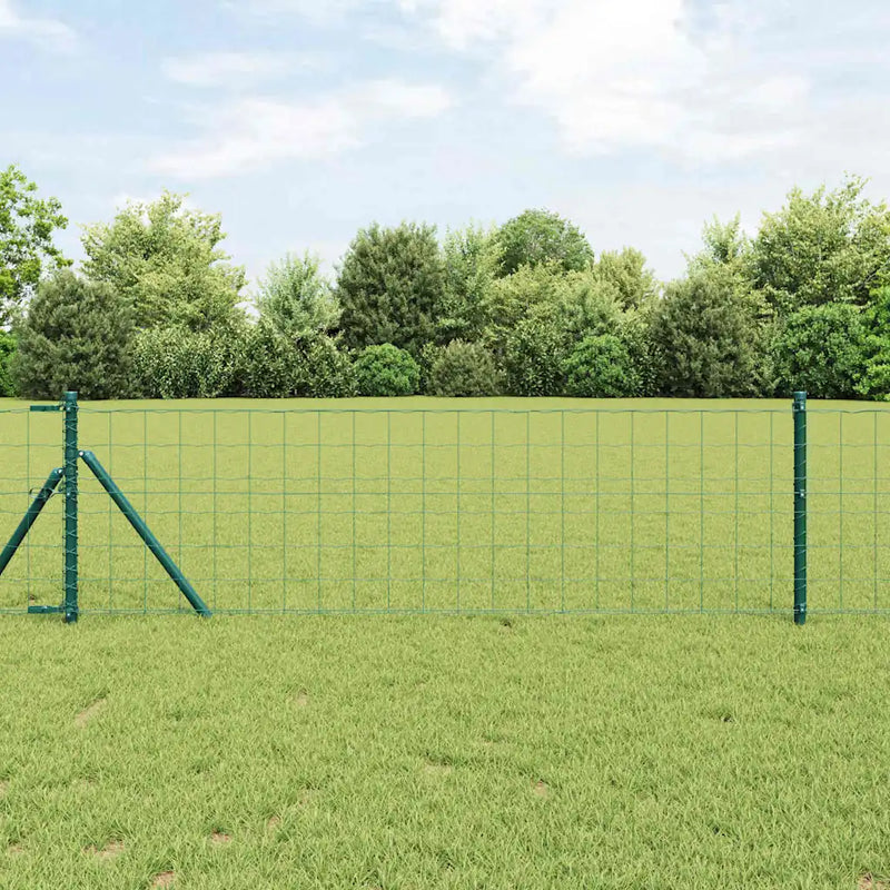 Fence with Post Green 0,8 x 25 m Steel