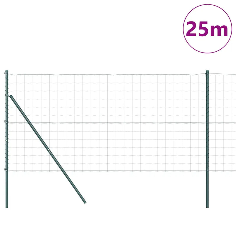 Fence with Post Green 1 x 25 m Steel