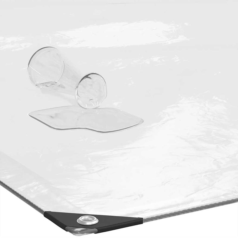 vidaXL Clear Tarpaulin with Eyelets 2x3 m Polyethylene