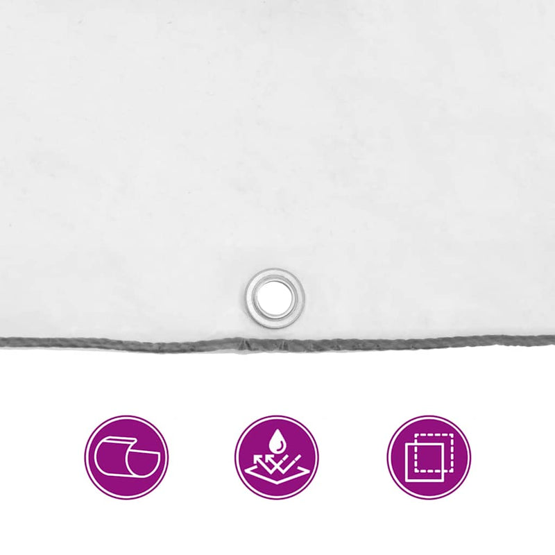 vidaXL Clear Tarpaulin with Eyelets 2x3 m Polyethylene