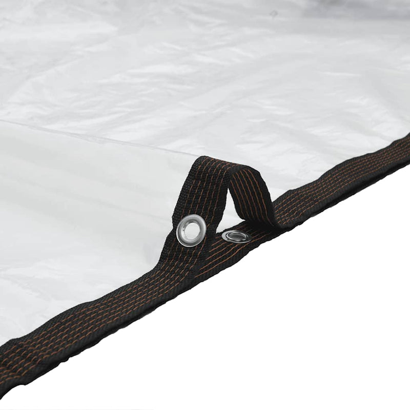 vidaXL Clear Tarpaulin with Eyelets 3x4 m Polyethylene