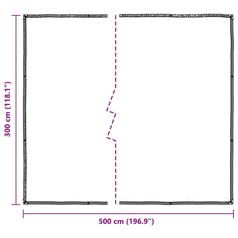 vidaXL Clear Tarpaulin with Eyelets 3x5 m Polyethylene