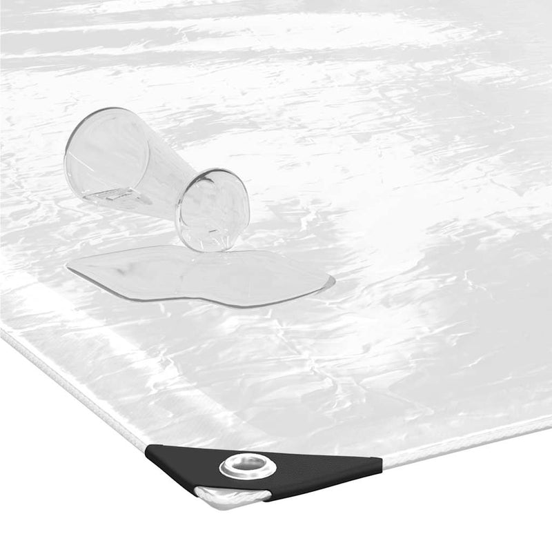 vidaXL Clear Tarpaulin with Eyelets 3x4 m PVC