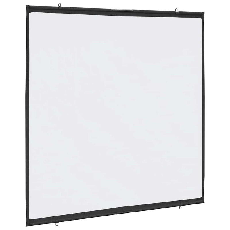 vidaXL Projection Screen Wall-Hanging 67 Inch 1:1