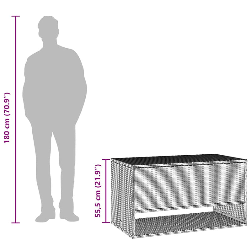 vidaXL Outdoor Cushion Box Brown 100x55x55.5 cm Poly Rattan