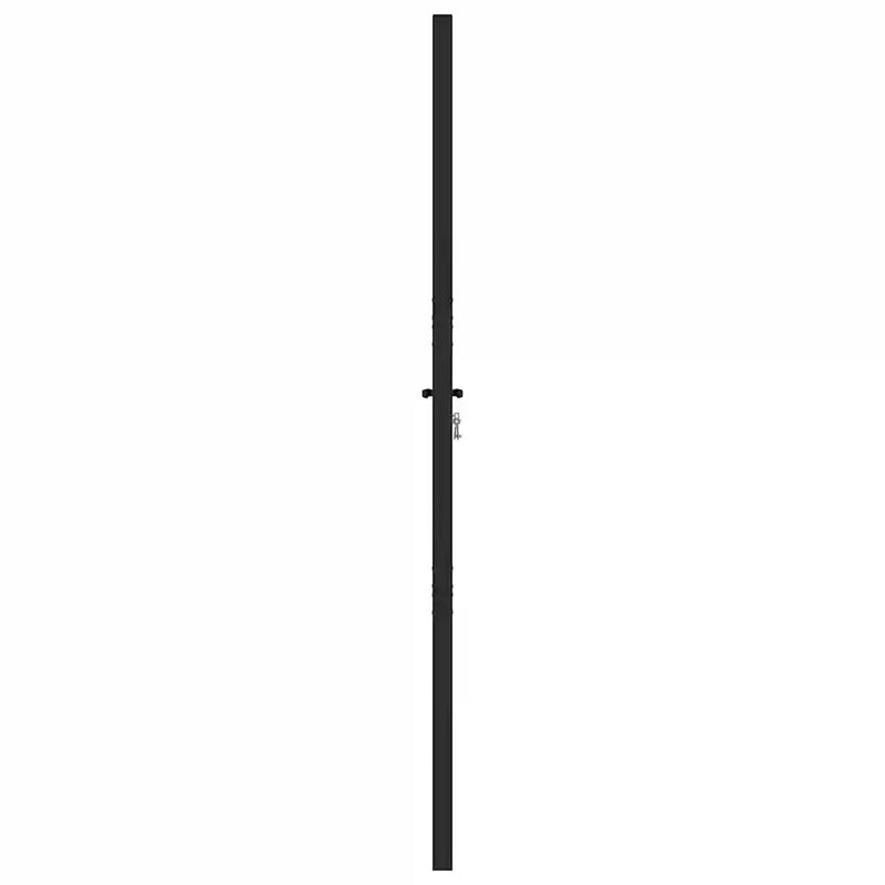 Garden Gate Lockable Black 100x200 cm Aluminium