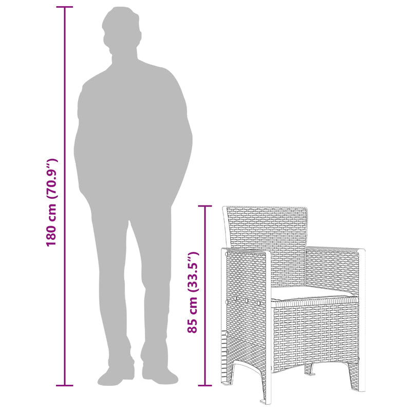 vidaXL Garden Chair 2 pcs Brown 53 x 49 x 85 cm Polypropylene